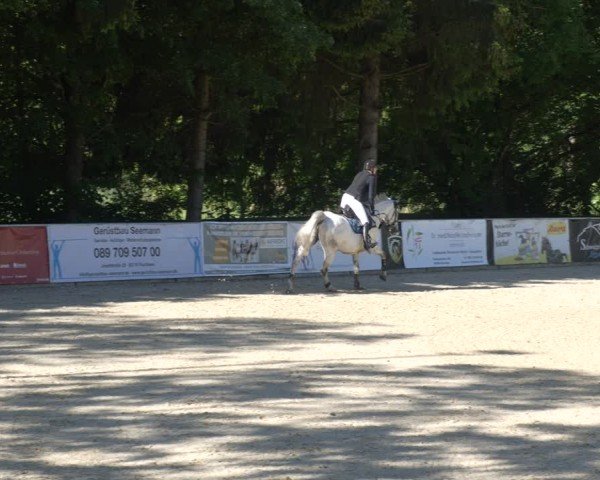 Reitturnier Karlsfeld/Obb. 2024