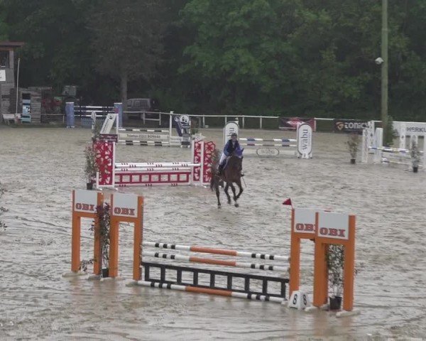 Reitturnier Siegen-Weidenau  2024