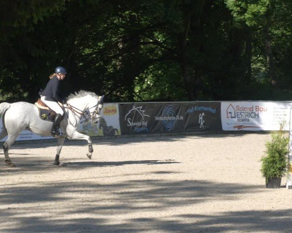 Reitturnier Karlsfeld/Obb. 2024