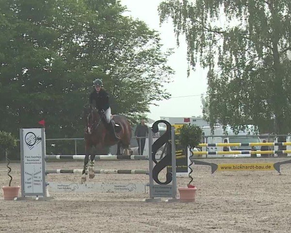 Reitturnier Landenhausen 2024