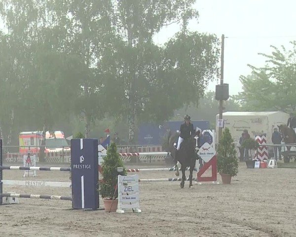 Reitturnier Landenhausen 2024