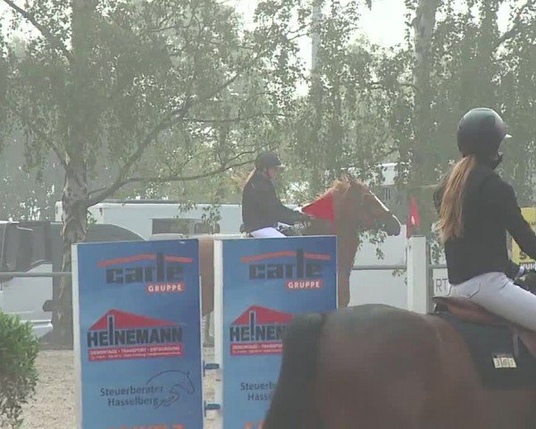 Reitturnier Landenhausen 2024