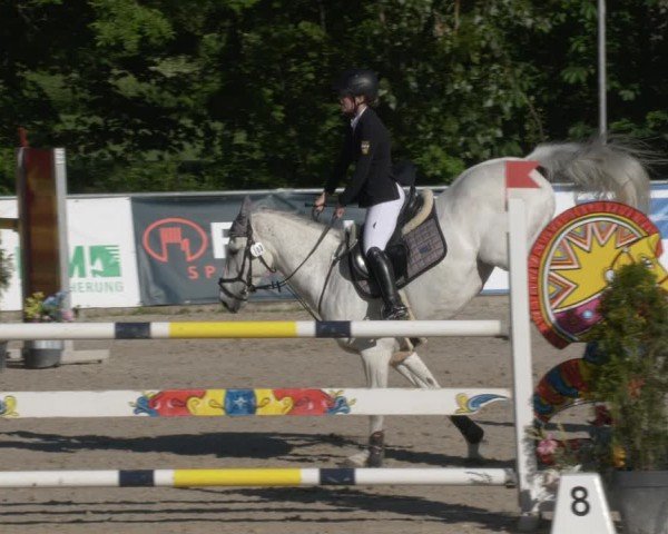 Reitturnier Karlsfeld/Obb. 2024