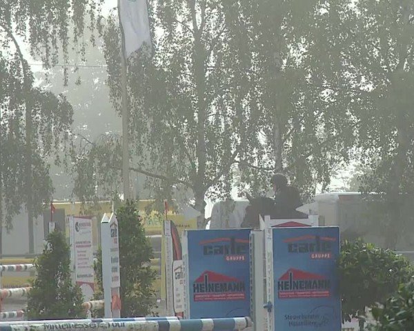 Reitturnier Landenhausen 2024