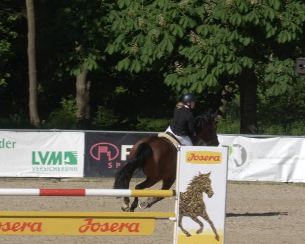 Reitturnier Karlsfeld/Obb. 2024