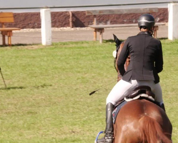 Reitturnier Forst 2024
