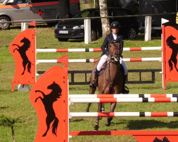 Reitturnier Forst 2024