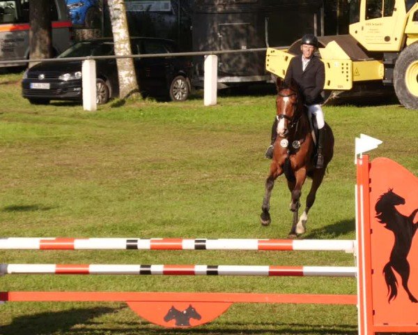 Reitturnier Forst 2024