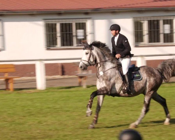 Reitturnier Forst 2024