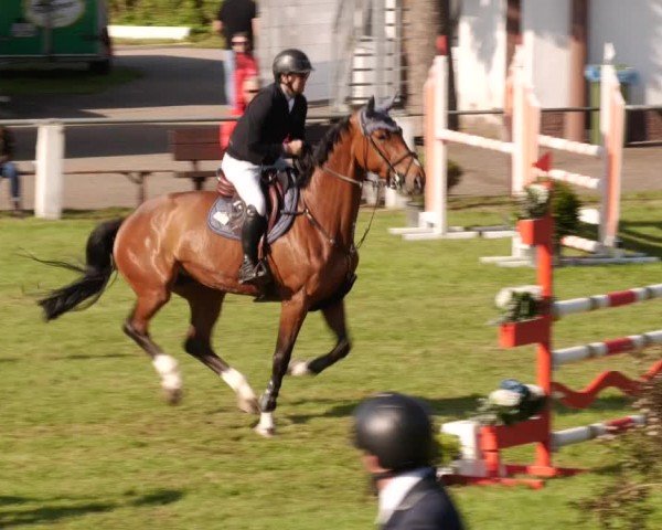 Reitturnier Forst 2024