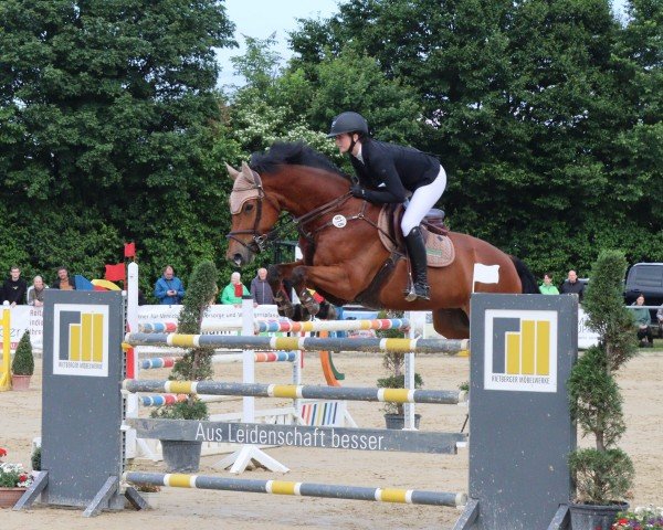 jumper Vancouver 70 (Hanoverian, 2013)