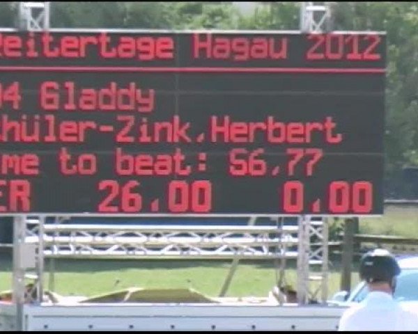 Reitturnier Ingolstadt-Hagau 2012