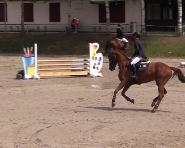 Reitturnier Lgl.-Oberhain, B95 2024