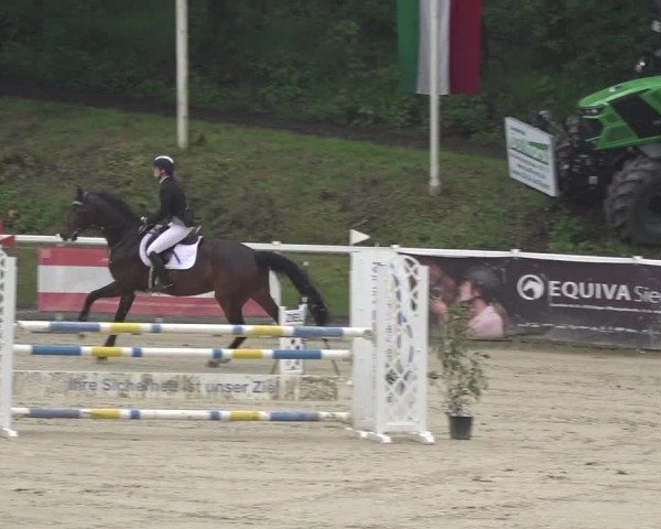 Reitturnier Siegen-Weidenau  2024