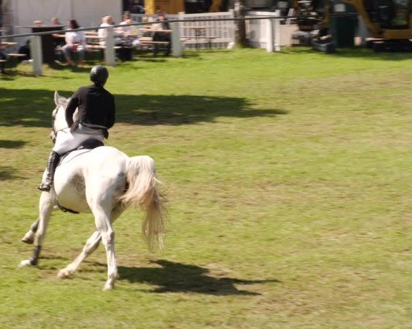 Reitturnier Forst 2024
