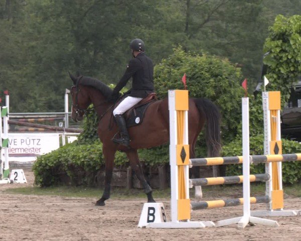 Reitturnier Frechen-Grefrath - Sonnenhof 2024