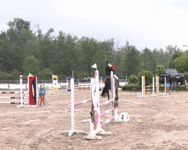 Reitturnier Frechen-Grefrath - Sonnenhof 2024