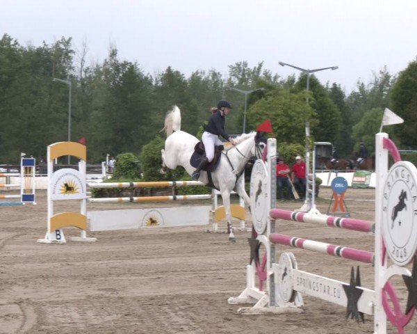 Reitturnier Frechen-Grefrath - Sonnenhof 2024