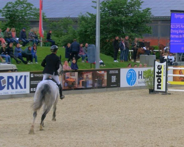 Reitturnier Borken 2024