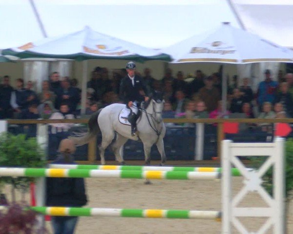 Reitturnier Borken 2024