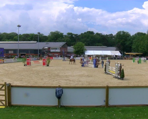 Reitturnier Borken 2024