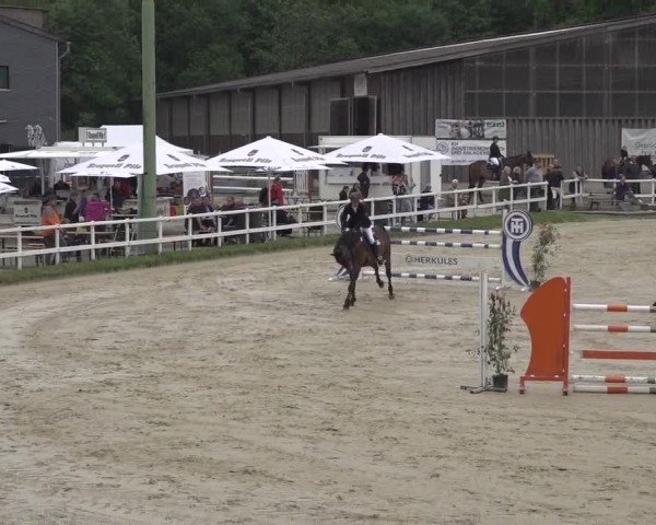 Reitturnier Siegen-Weidenau  2024