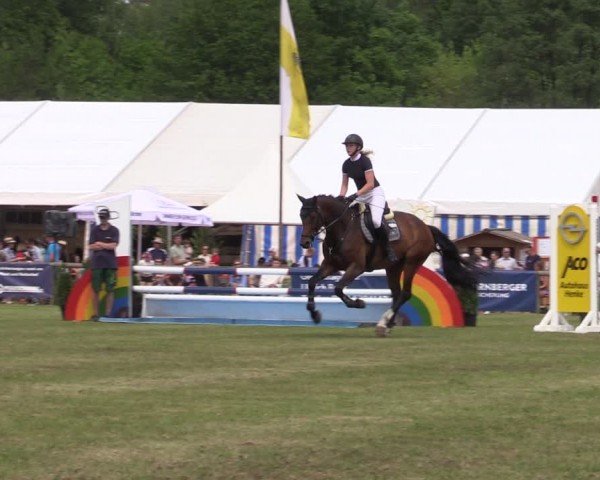 Reitturnier Horka 2024