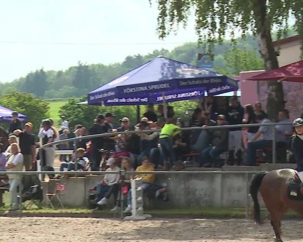 Reitturnier Landenhausen 2024