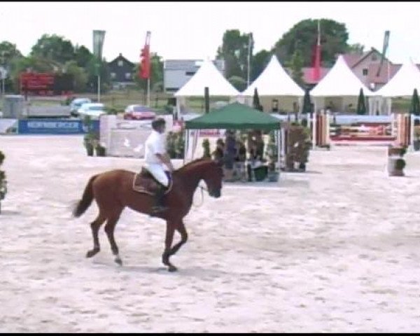 Reitertage Hagau 2012