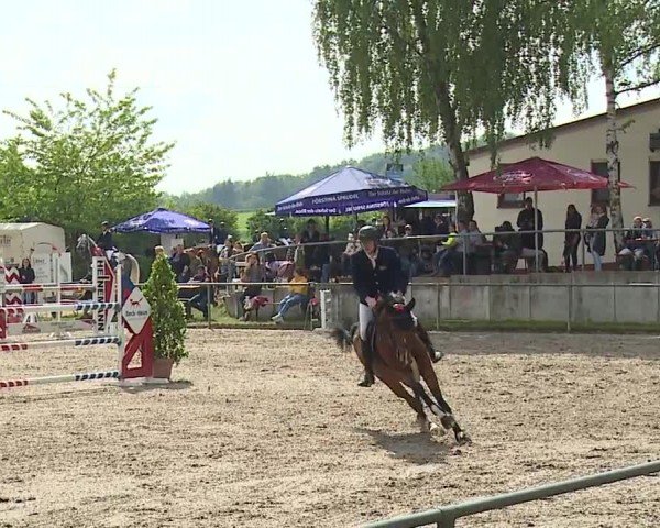 Reitturnier Landenhausen 2024
