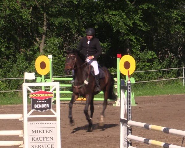 Reitturnier Lgl.-Oberhain, B95 2024