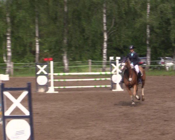 Reitturnier Lgl.-Oberhain, B95 2024