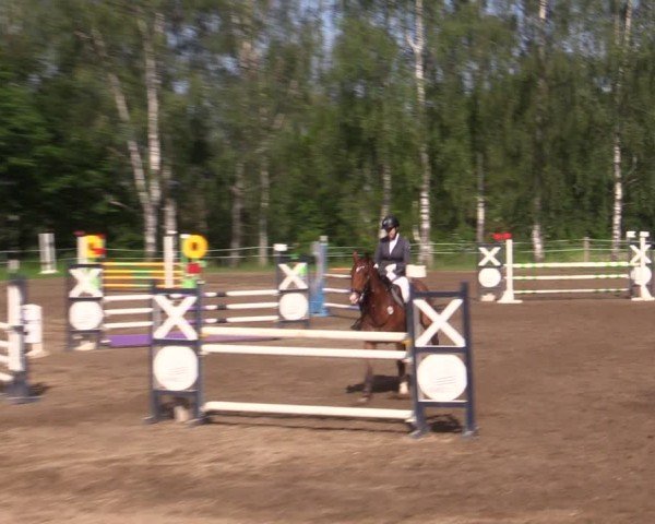 Reitturnier Lgl.-Oberhain, B95 2024