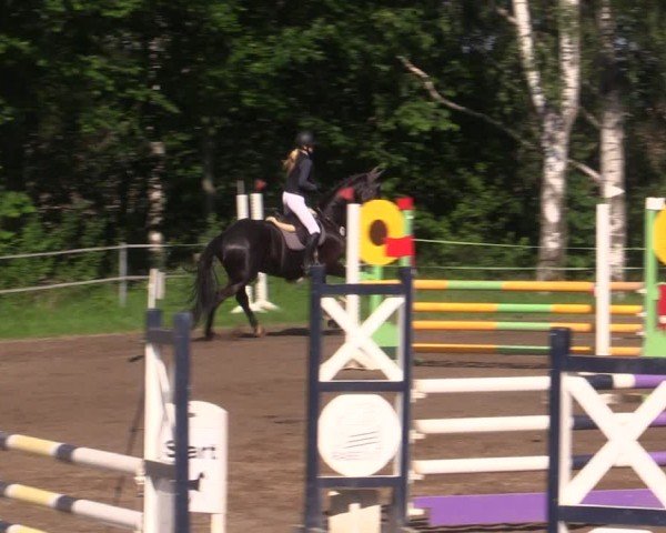 Reitturnier Lgl.-Oberhain, B95 2024