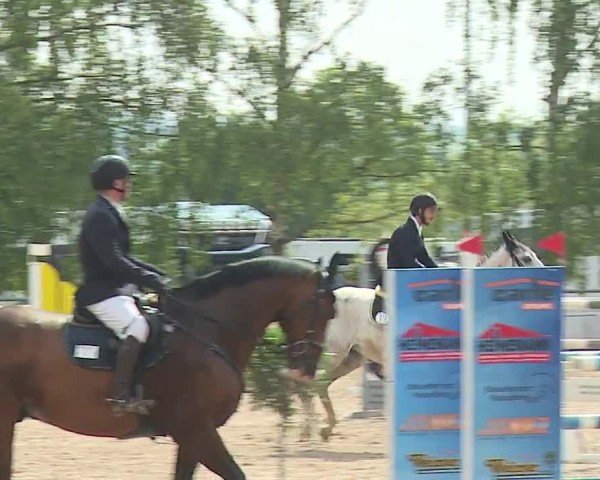 Reitturnier Landenhausen 2024