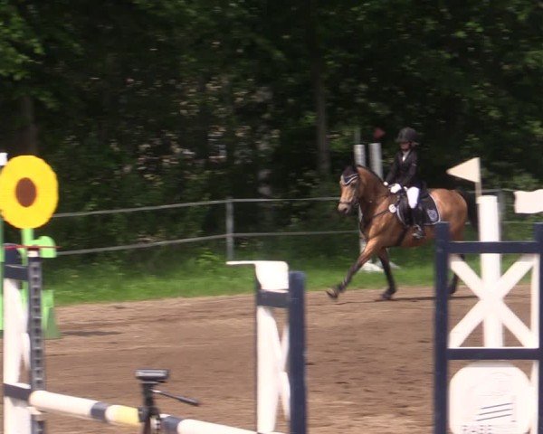 Reitturnier Lgl.-Oberhain, B95 2024