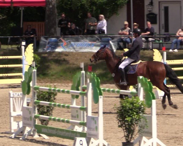 Reitturnier Lgl.-Oberhain, B95 2024