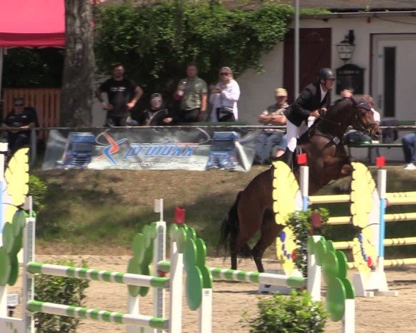 Reitturnier Lgl.-Oberhain, B95 2024