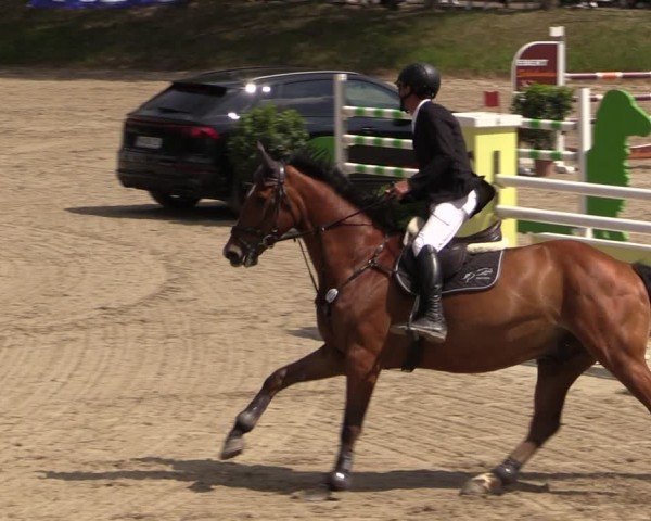 Reitturnier Lgl.-Oberhain, B95 2024