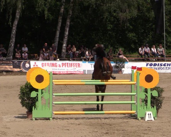 Reitturnier Lgl.-Oberhain, B95 2024