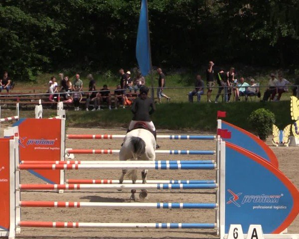 Reitturnier Lgl.-Oberhain, B95 2024