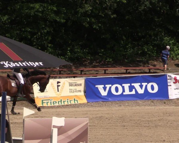 Reitturnier Lgl.-Oberhain, B95 2024