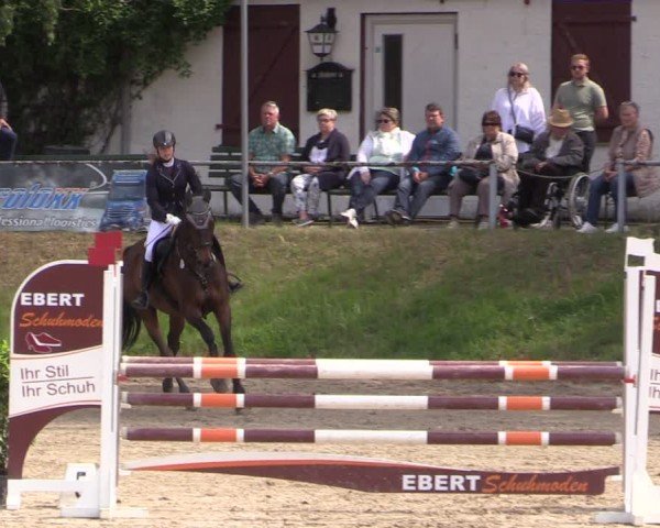 Reitturnier Lgl.-Oberhain, B95 2024