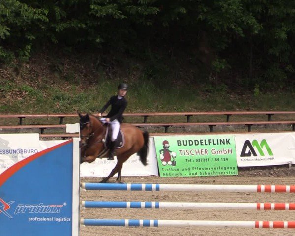 Reitturnier Lgl.-Oberhain, B95 2024