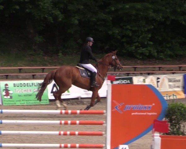 Reitturnier Lgl.-Oberhain, B95 2024