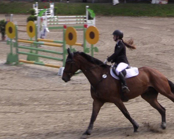Reitturnier Lgl.-Oberhain, B95 2024