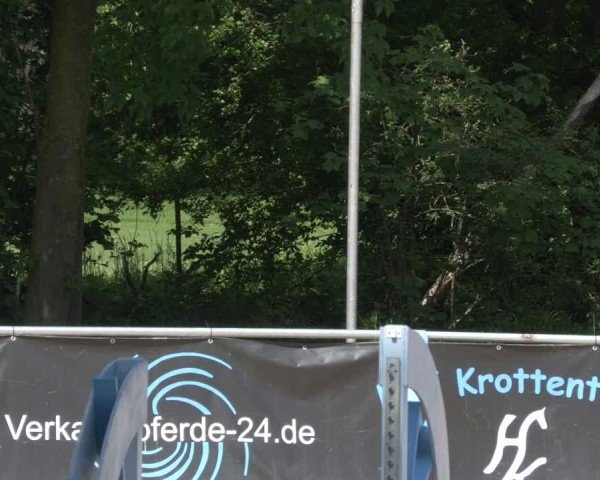 Reitturnier Karlsfeld/Obb. 2024