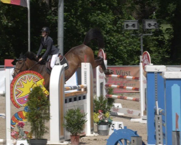 Reitturnier Karlsfeld/Obb. 2024