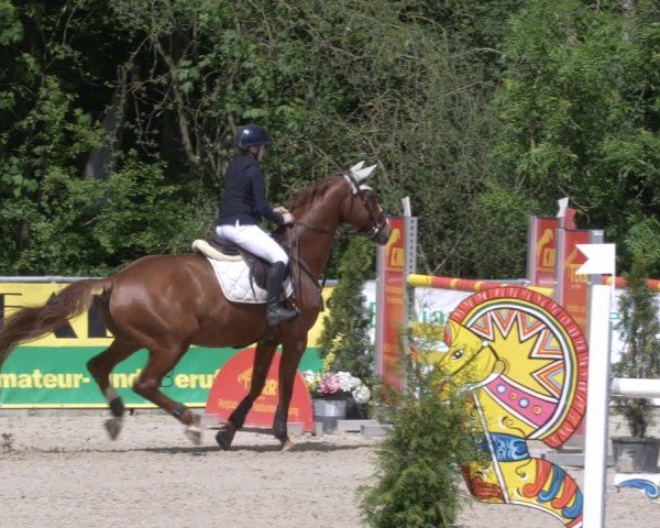 Reitturnier Karlsfeld/Obb. 2024