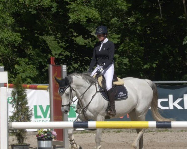 Reitturnier Karlsfeld/Obb. 2024